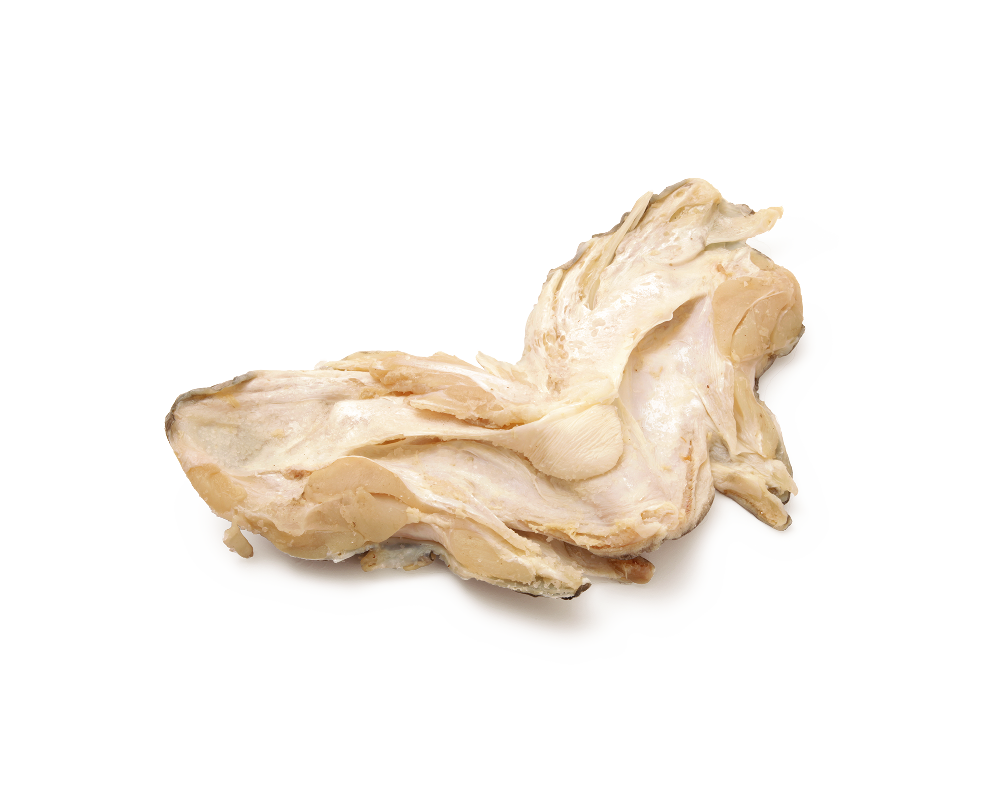 Cod Cheeks Iceland