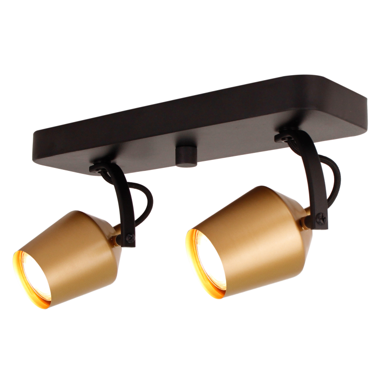 Chericoni Tavola Deckenstrahler 2-flammig Gold in modernem Büro