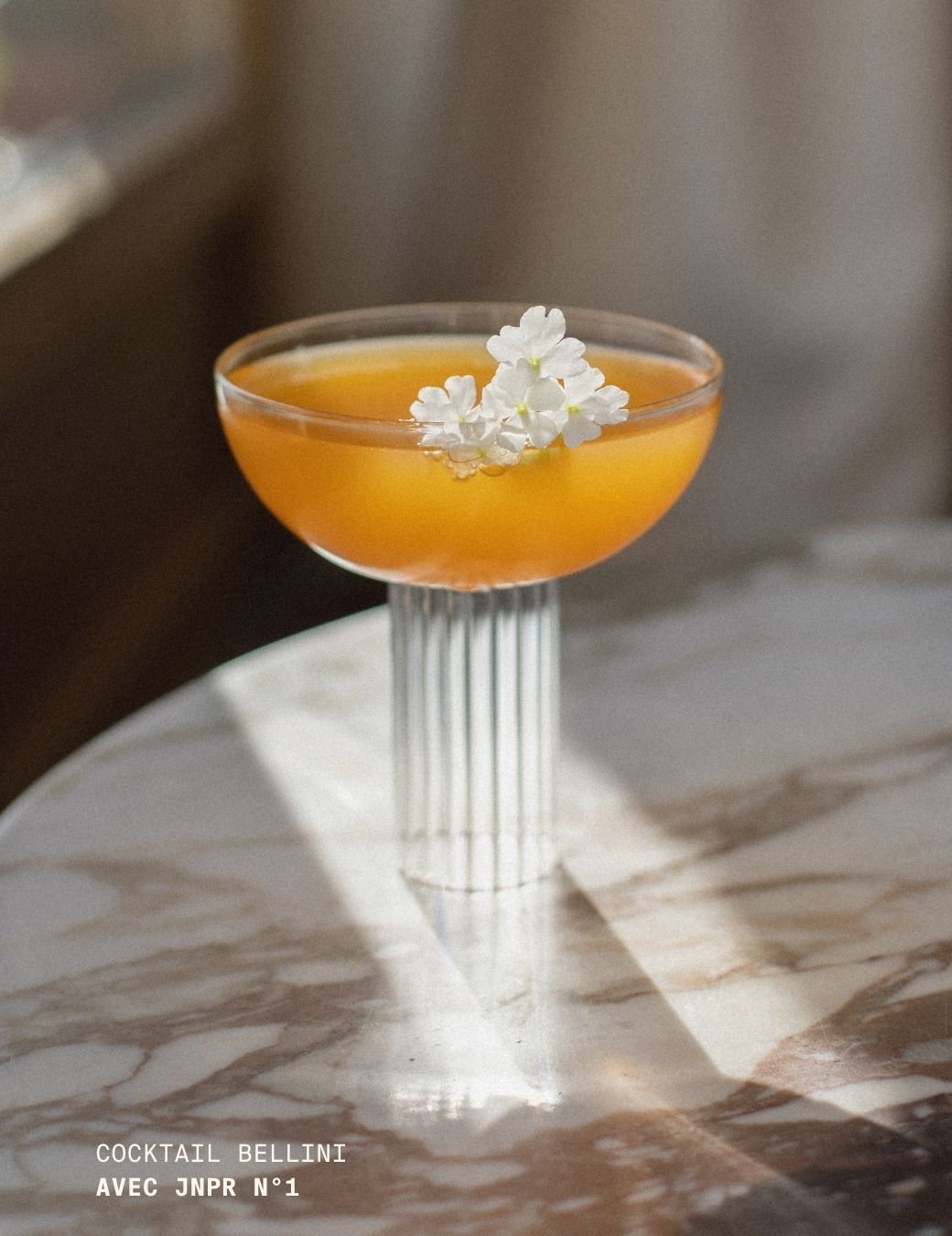 JNPRE - book complet de recettes