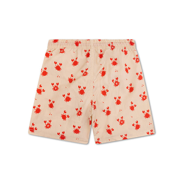 Swim Essentials | Zwembroek
