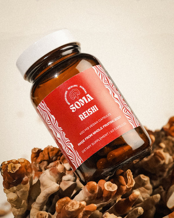 Reishi capsules