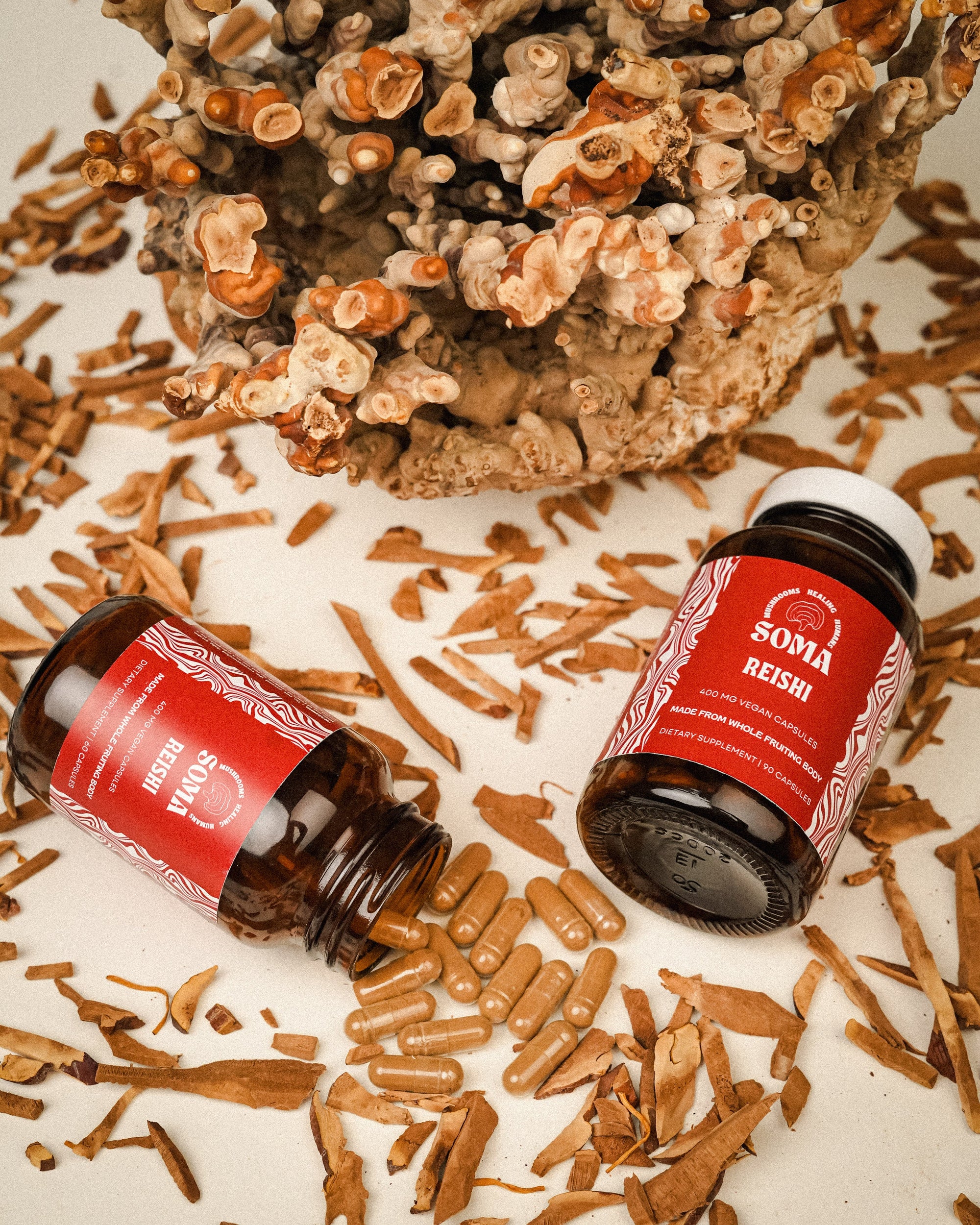 Reishi capsules