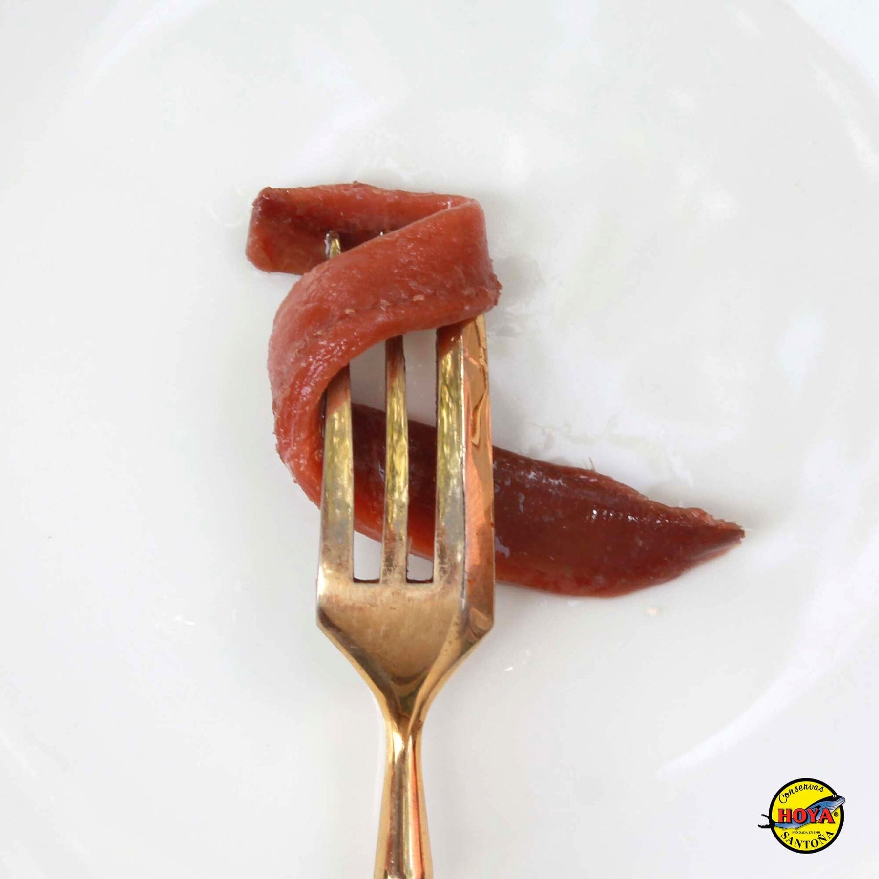 Cantabrian Anchovies in Olive Oil HOYA GOLD SERIES 49g