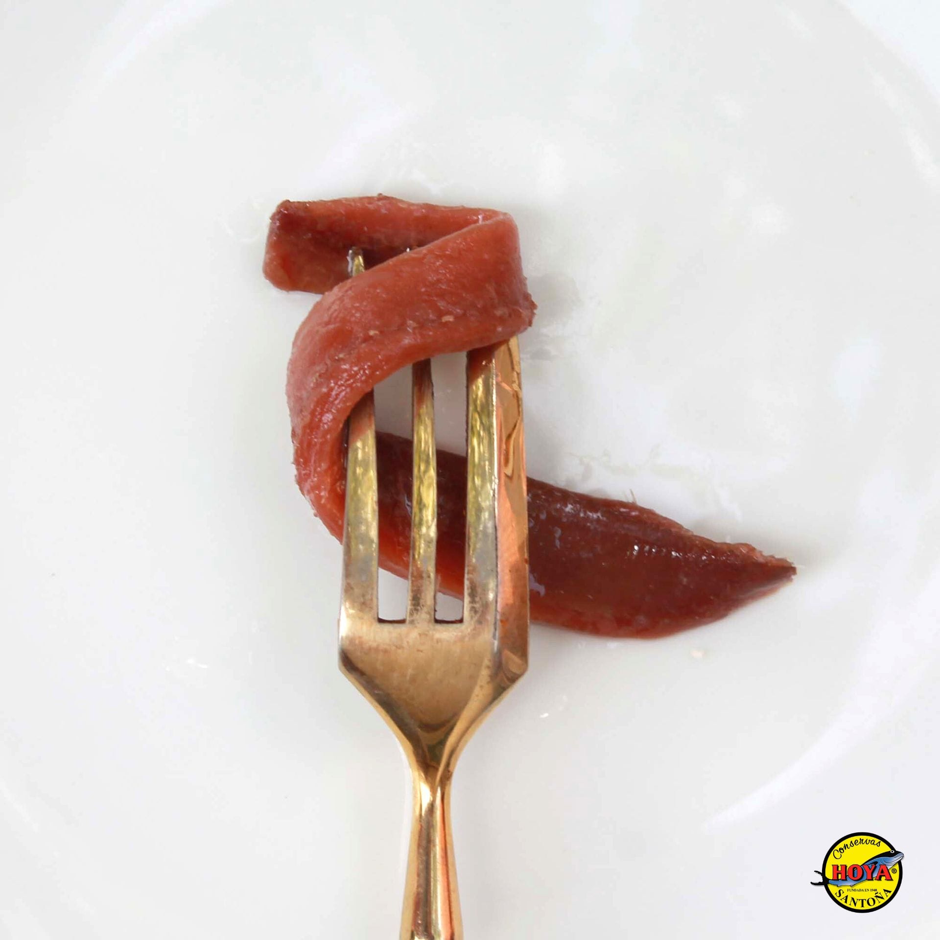 Cantabrian Anchovies in Olive Oil HOYA GOLD SERIES 49g