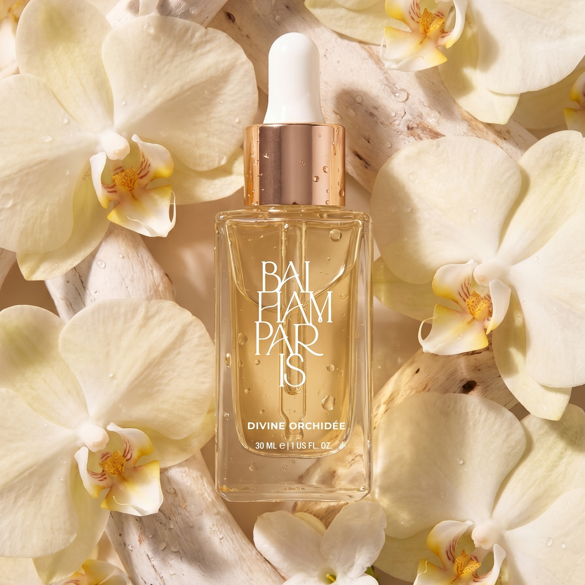 Divine Orchid