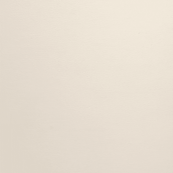 Campioni Tessuto ECOPELLE per Interni (4315358003258)