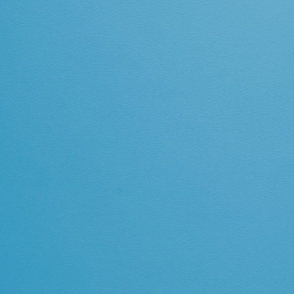 Campioni Tessuto ECOPELLE per Interni (4315358003258)