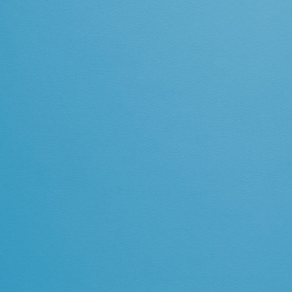 Campioni Tessuto ECOPELLE per Interni (4315358003258)