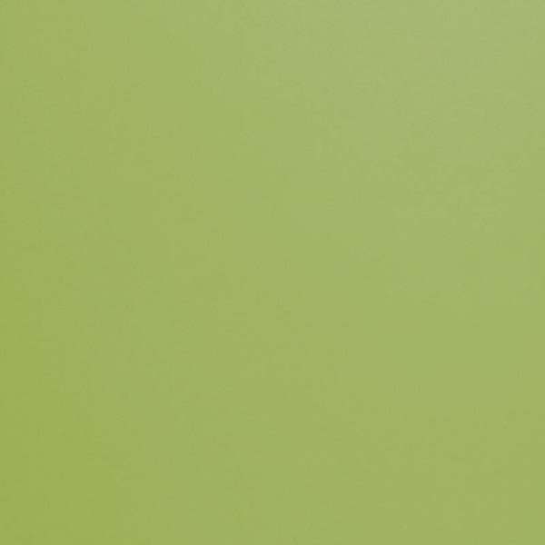 Campioni Tessuto ECOPELLE per Interni (4315358003258)