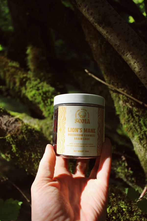 Lion's Mane vegan gummies