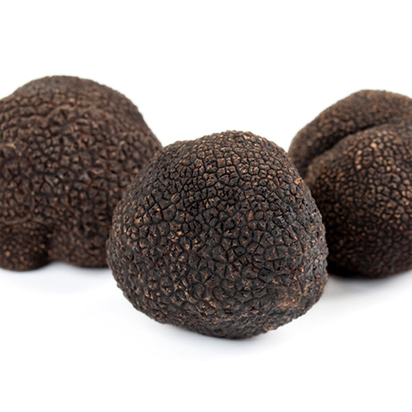 Truffe Noire (Tuber Melanosporum)