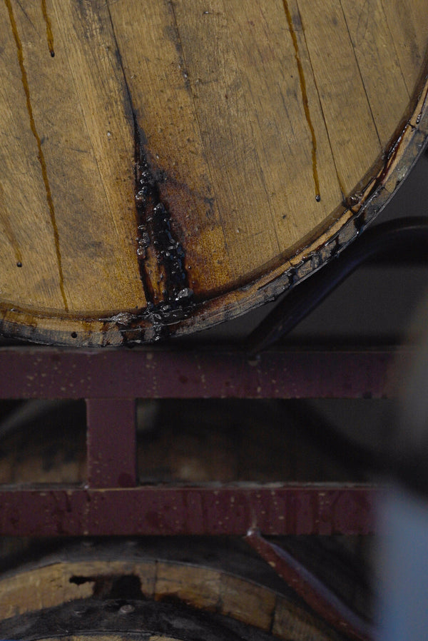 Pelicon the Leaking Barrel Beer Series [new vintages 2024 added]