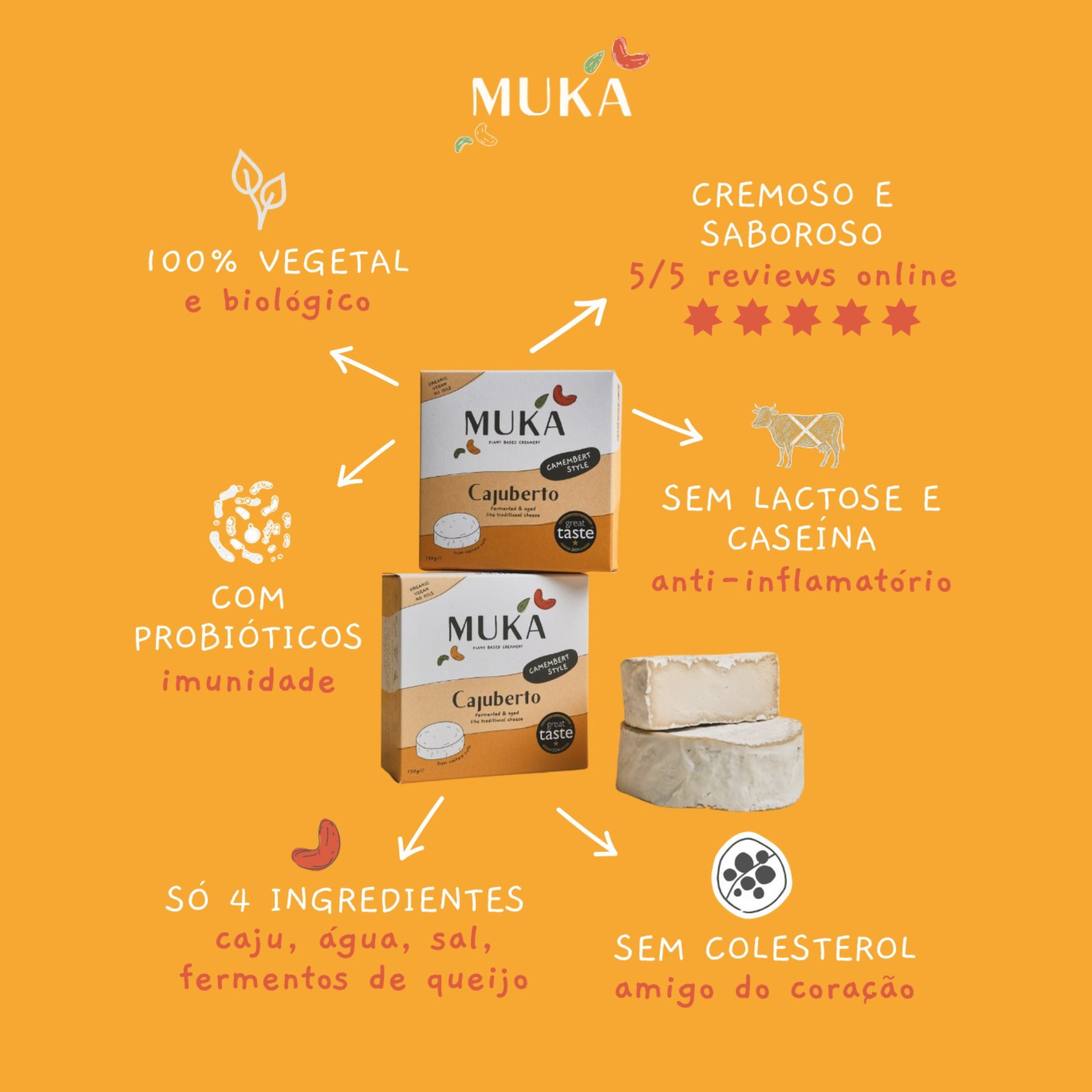 Discovery Basket