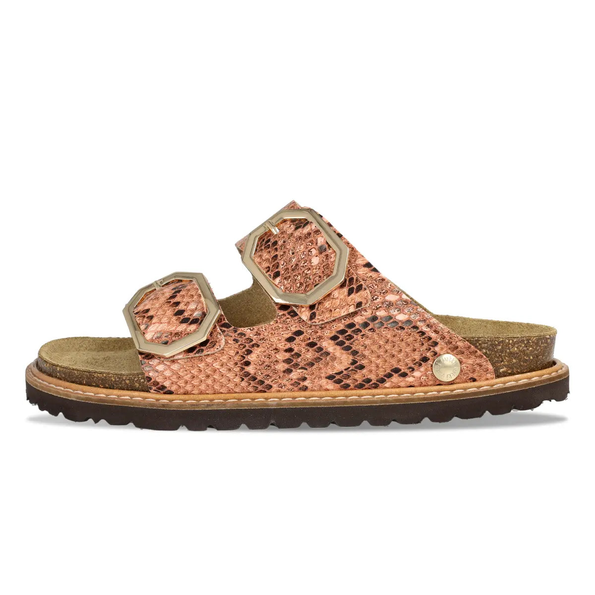 Glen Jungle Coral