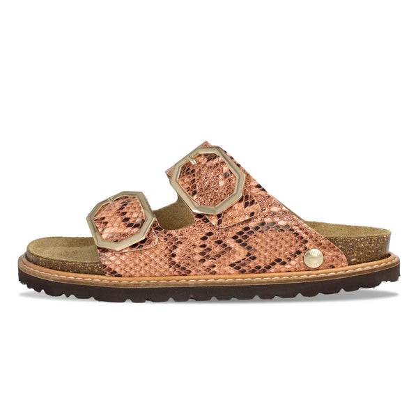 Glen Jungle Coral