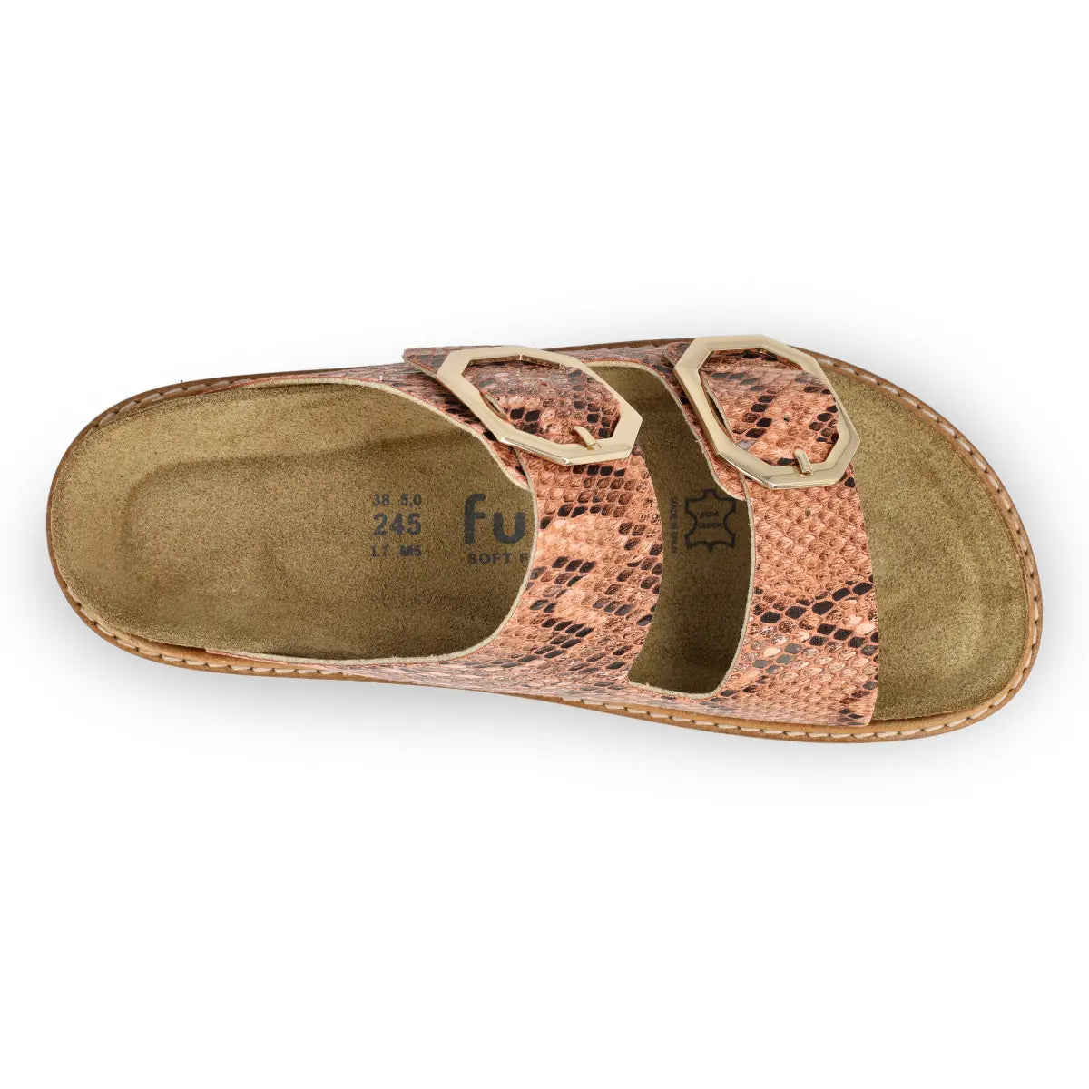 Glen Jungle Coral