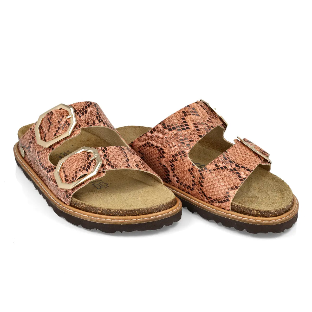 Glen Jungle Coral