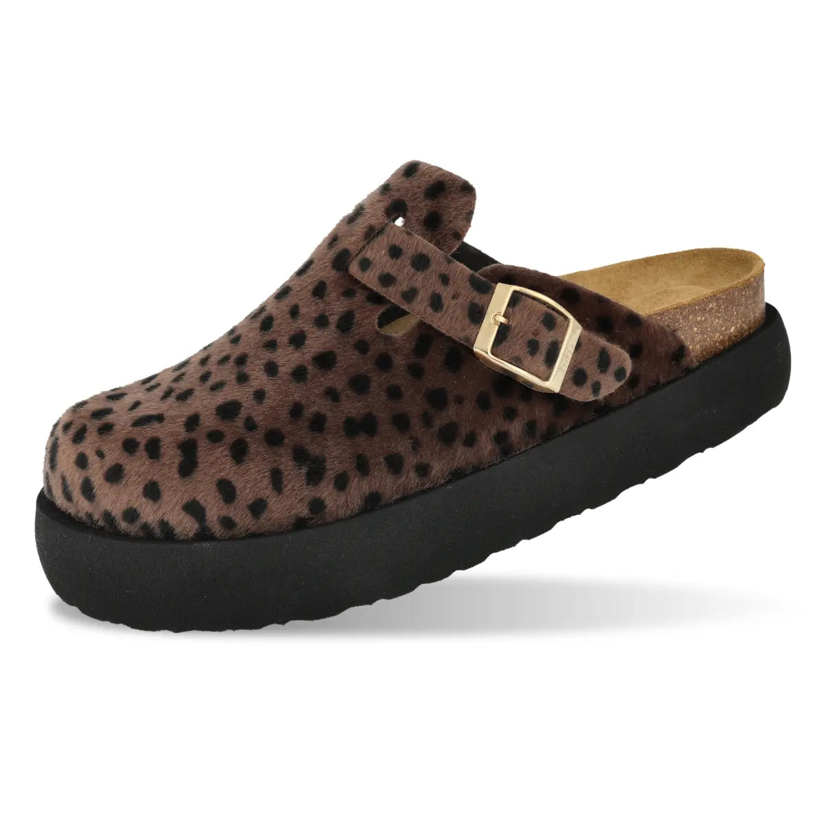 Jack Safari Brown