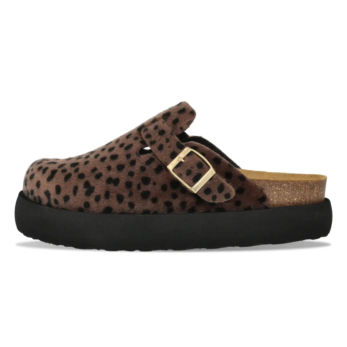 Jack Safari Brown