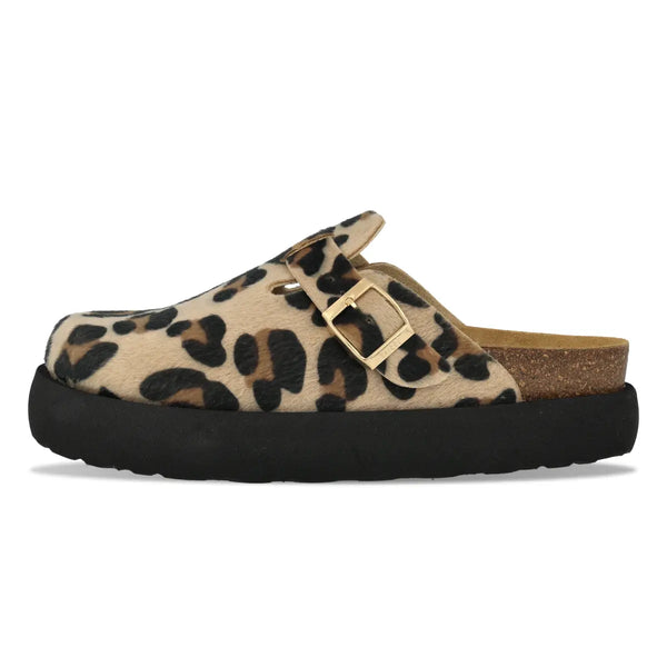 Jack Safari Sand