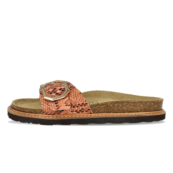 Mara Jungle Coral