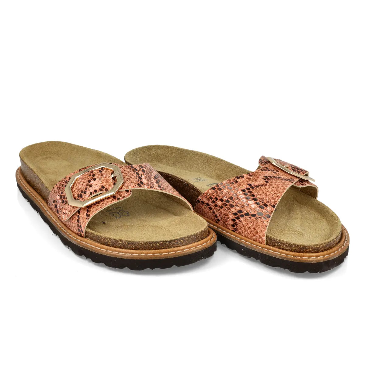 Mara Jungle Coral
