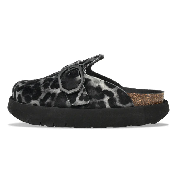 Toby Leopard