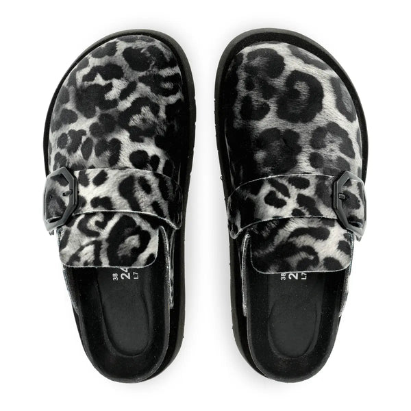 Toby Leopard