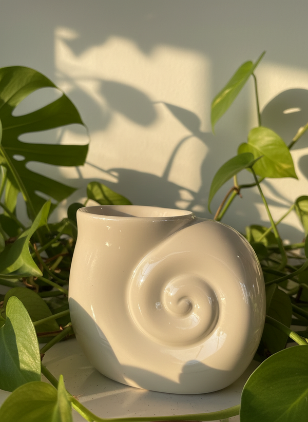 Brûleur coquillage 🐚