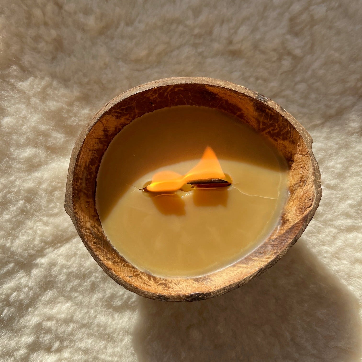 A coconut shell candle with a golden wax and crackling wood wicks, placed on a soft surface.