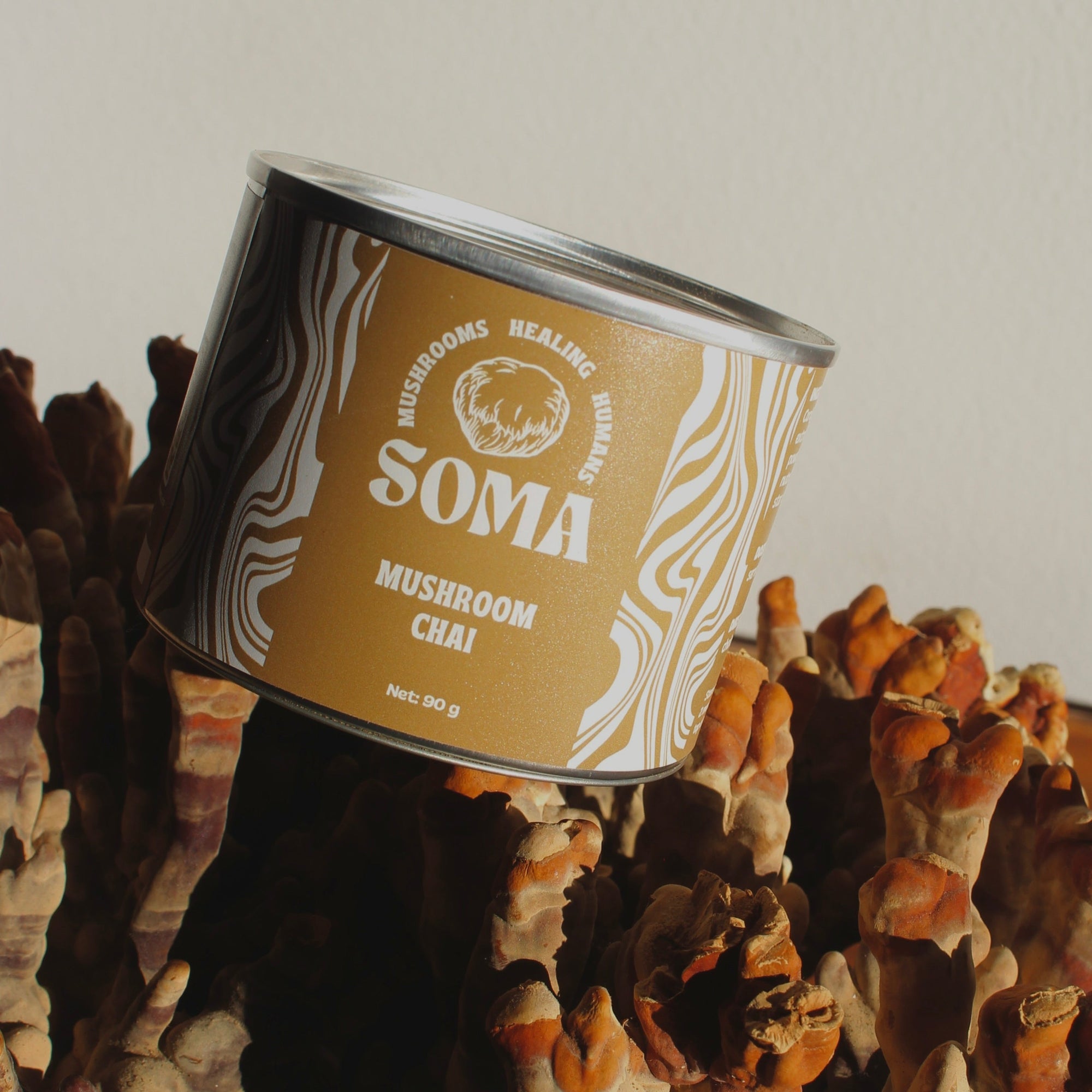 3 Paddenstoelen Masala Chai