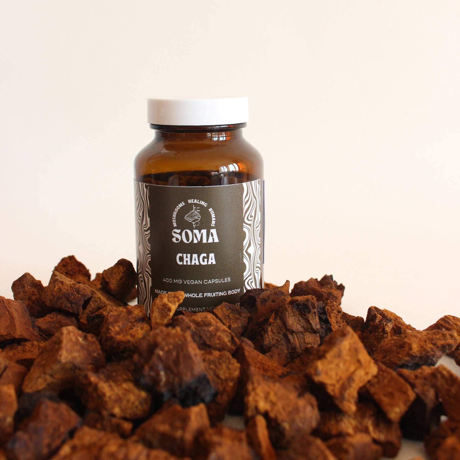 Chaga capsules