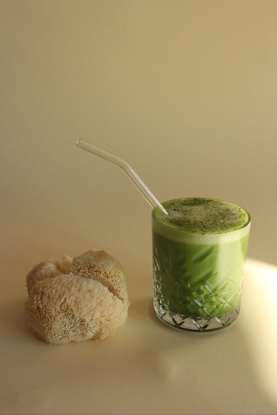 Leeuwenmanen Matcha bundel