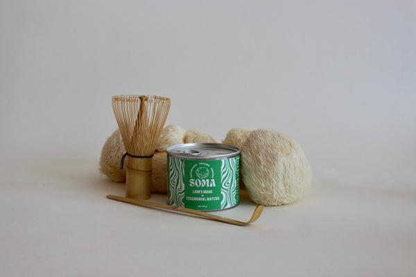 Ceremonieel Leeuwenmanen Matcha