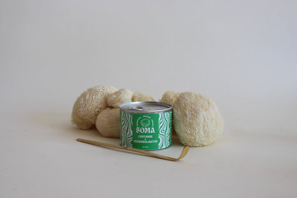 Ceremonial Lion's Mane Matcha