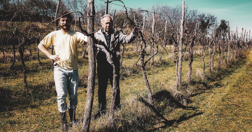 Muškatna 2025 – suho macerirano vino