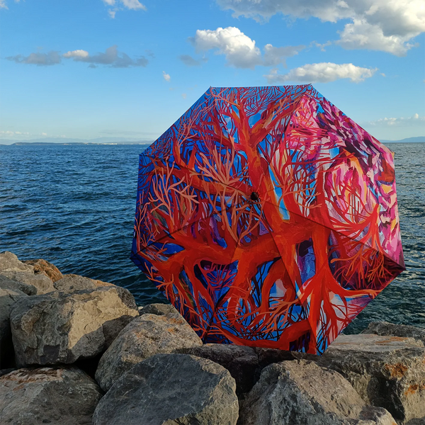 Umbrella - Underwater tree of life