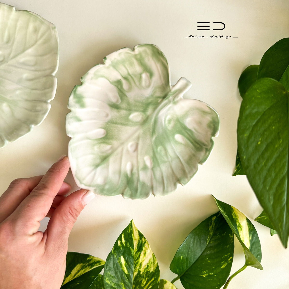decorative tray monstera | green