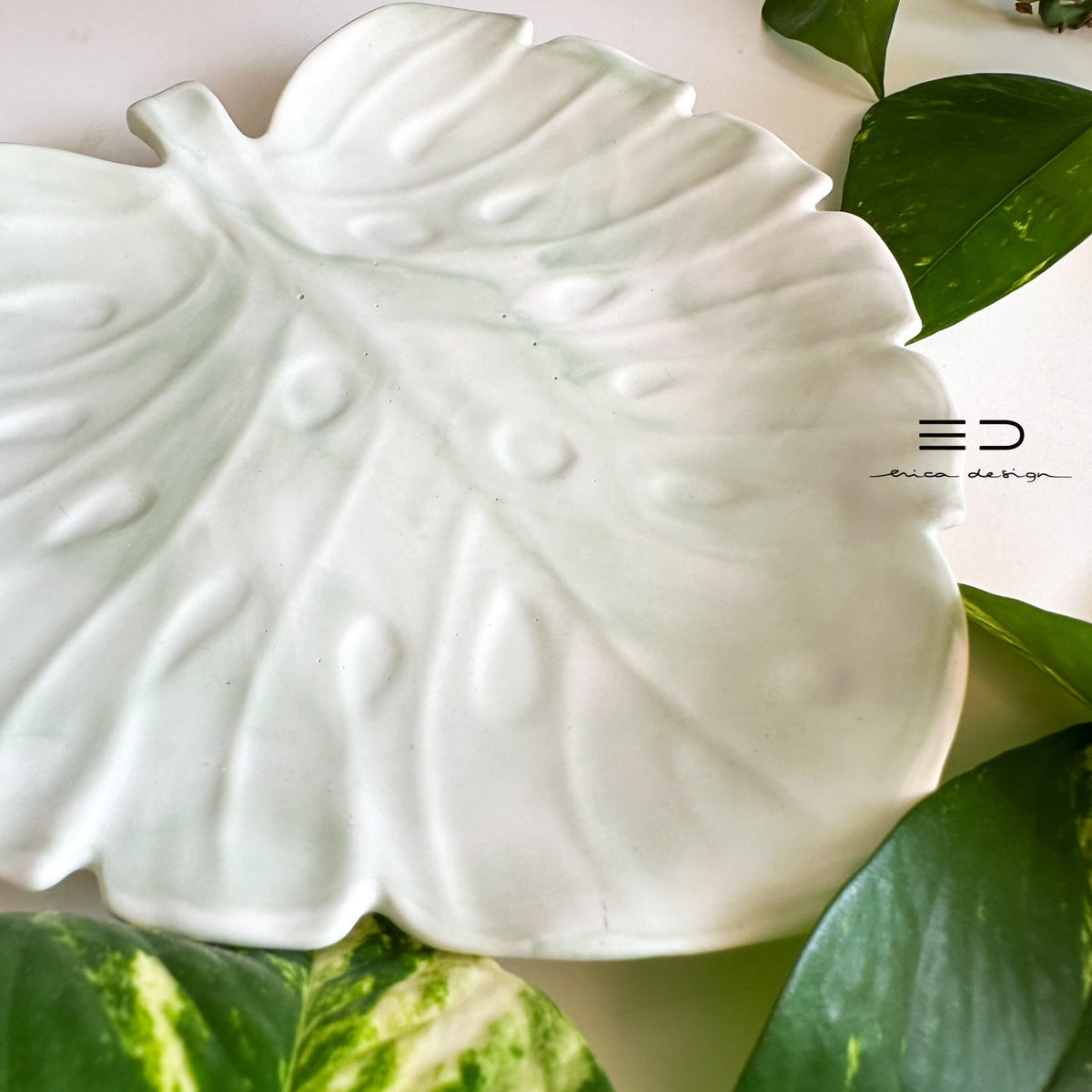 decorative tray monstera | green