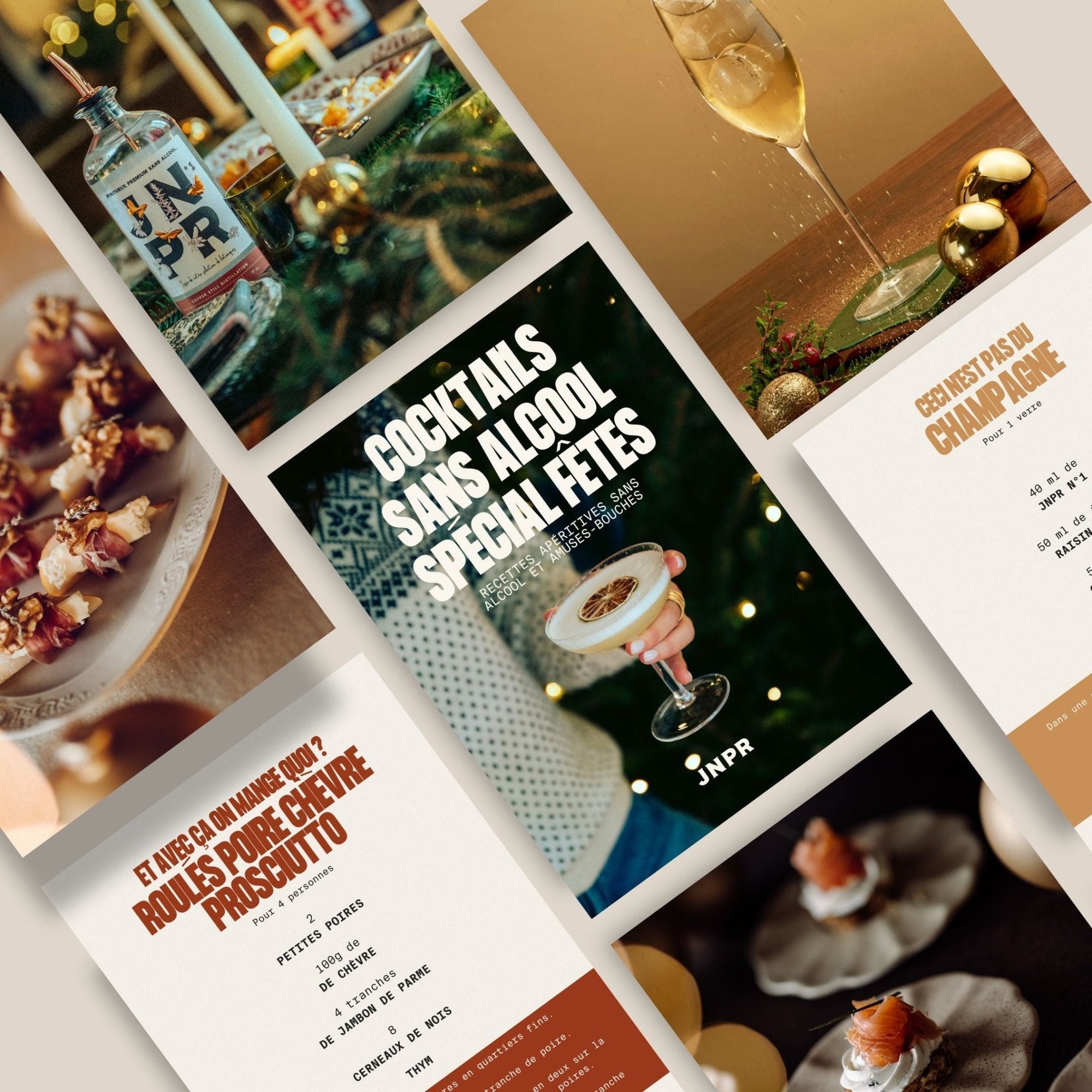 JNPRVotre cadeau 🎁 E - book de recettes : Spécial Fêtes