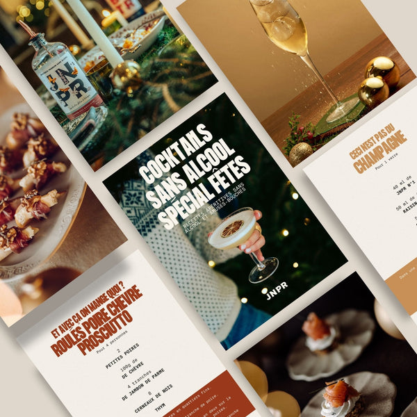 JNPRVotre cadeau 🎁 E - book de recettes : Spécial Fêtes