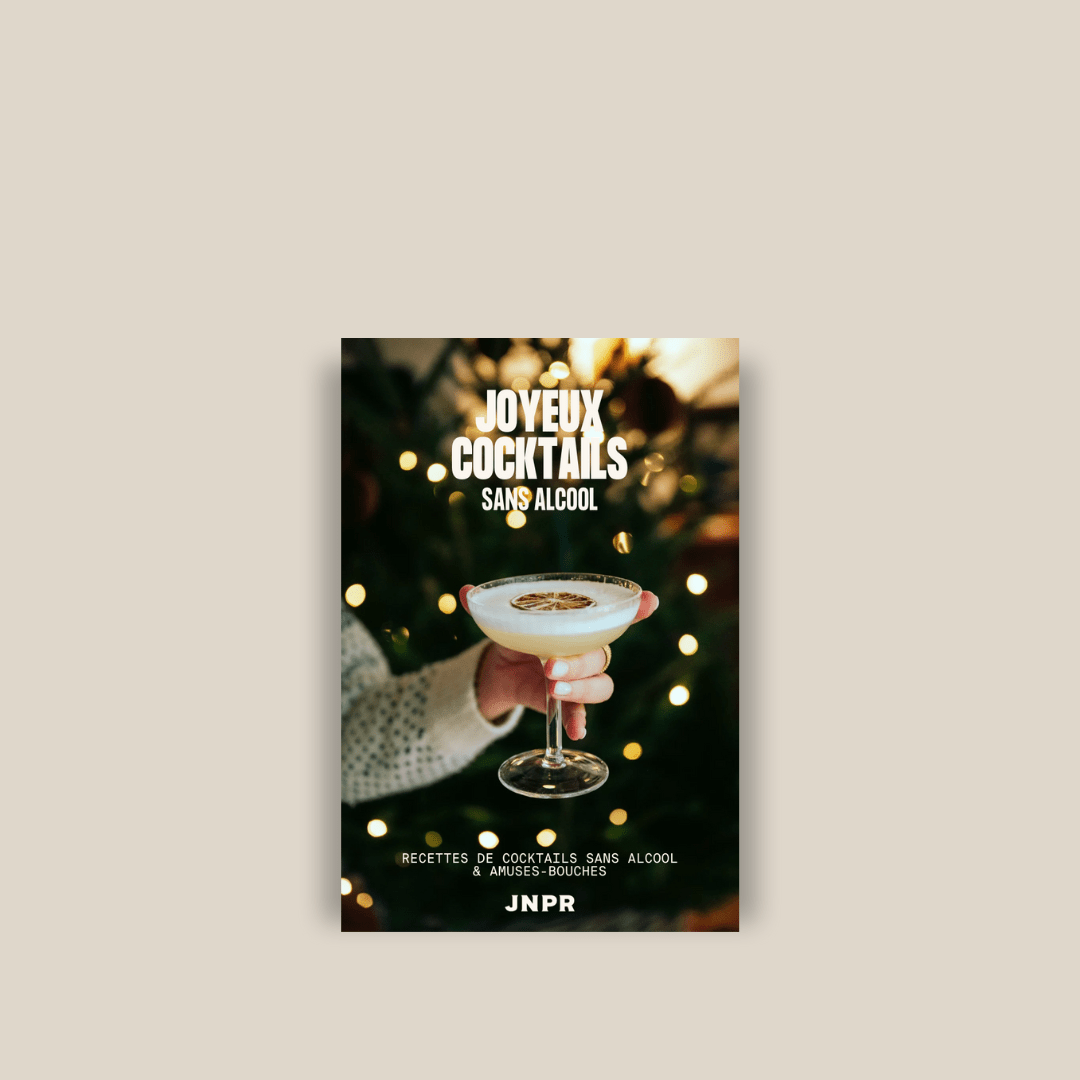JNPRVotre cadeau 🎁 E - book de recettes : Spécial Fêtes