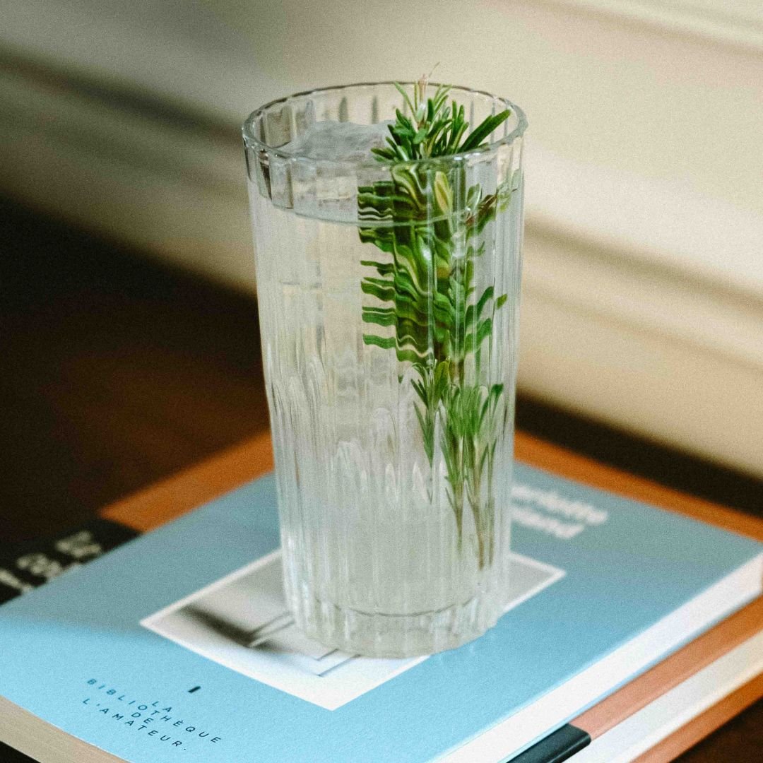 JNPRSirop de fleur de sureau - Bacanha