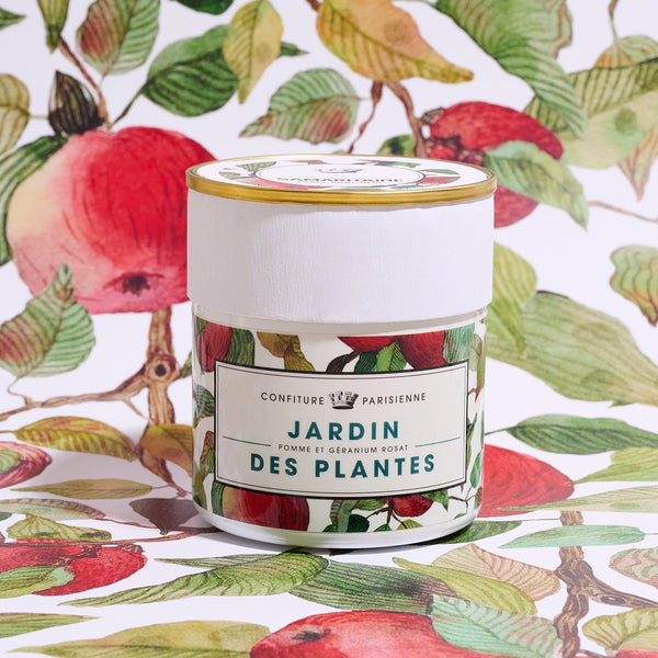 Apple Geranium Rosat X Jardin des Plantes