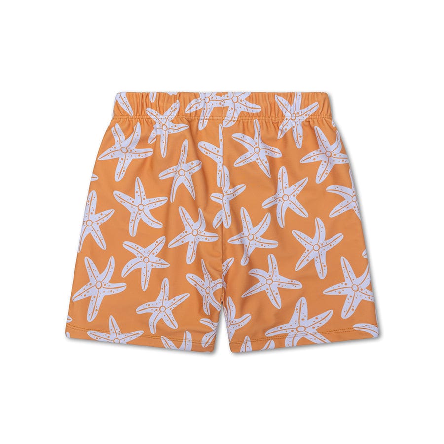 zwembroek-seastar-swim-essentials-3