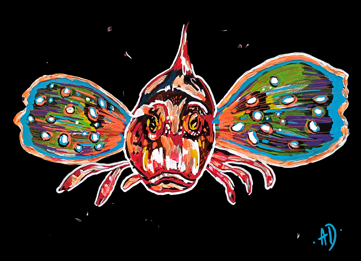 Art print - Červený gurnard