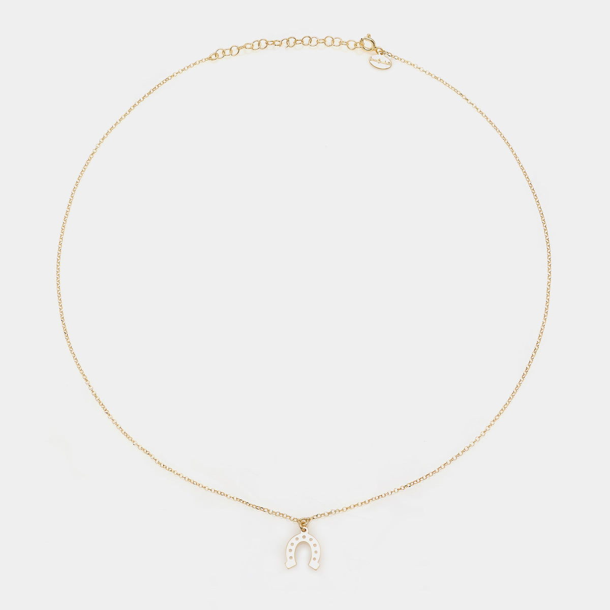 Gold-plated silver necklace with a hanging horseshoe centerpiece