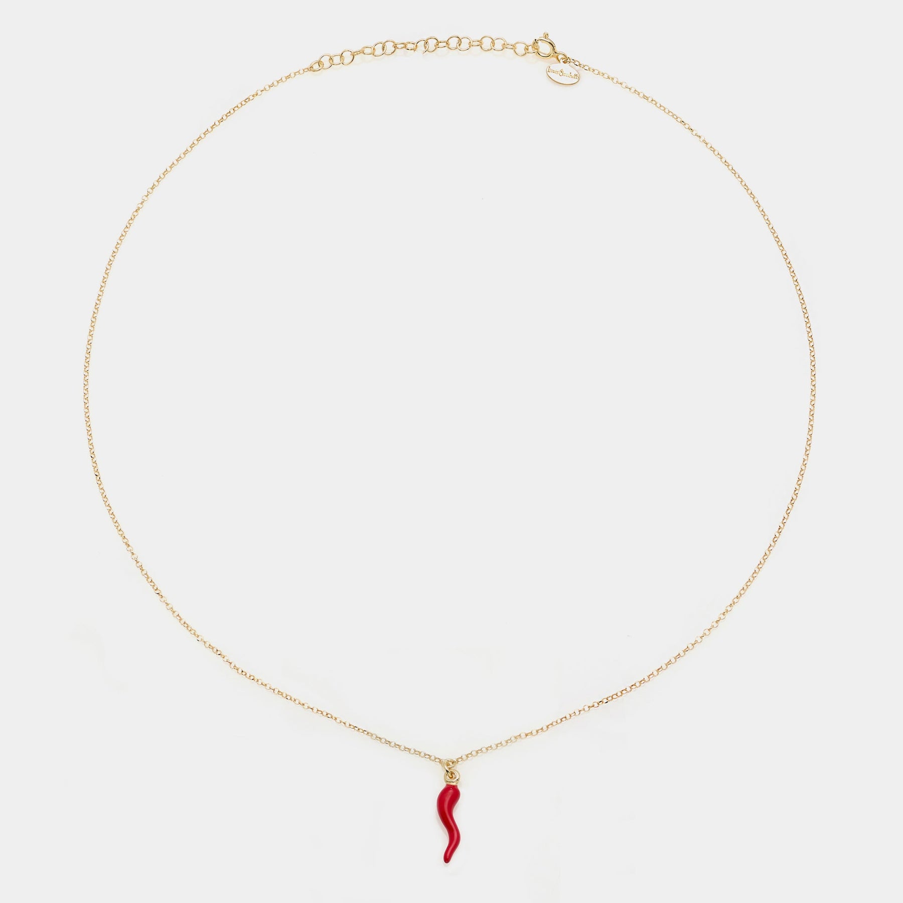 Gold-plated silver necklace with enameled horn pendant