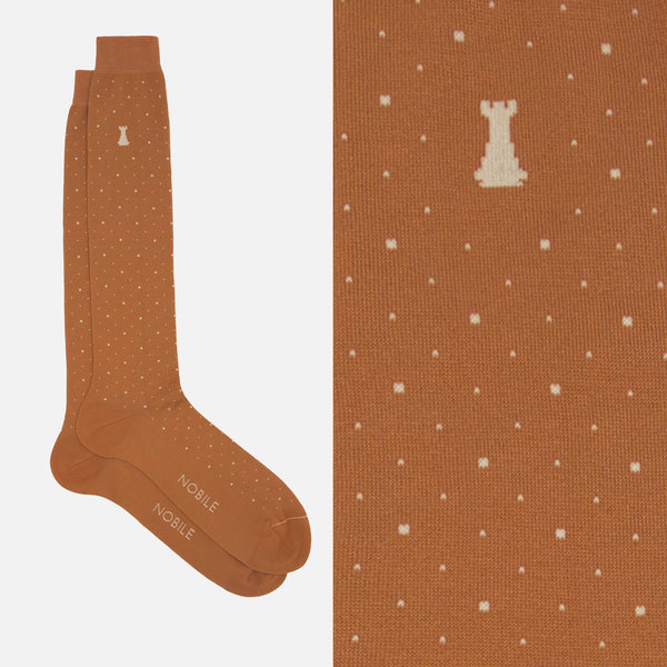 Dandy - Box of 6 Long Socks for Men in Filoscozia® - Mixed Pattern