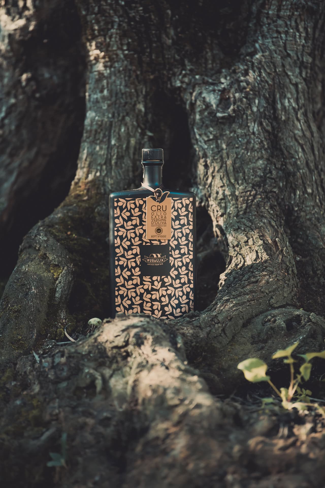 Grand Cru IGP Macchia di Rose Oil